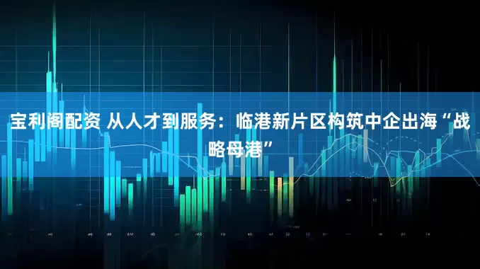 宝利阁配资 从人才到服务：临港新片区构筑中企出海“战略母港”